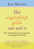 Het ongelofelijke geluk van wat is (Paperback)