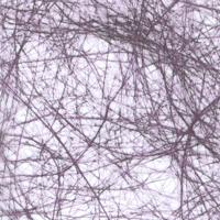 Vaessen Creative • sizoflor 25mx30cm dark purple