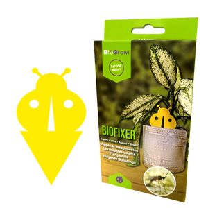 BIOFIXER - Decoratieve gele vangplaten rouwvliegen | 10 stuks