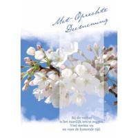 Wenskaarten Rouw pak a 10 stuks