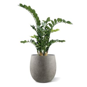 Zamioculcas kunstplant 100cm