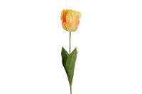 Decostar Tulp Tulipa Barbera 68 cm geel/zalm