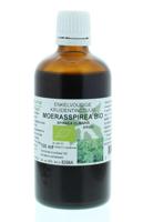 Natura Sanat Spiraea ulmaria herb / moerasspirea tinctuur bio Natura Sanat Spiraea ulmaria herb / moerasspirea tinctuur bio