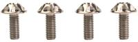 SILCA bevestigingsbout screw silver 4pcs.