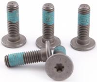 TRW -lucas bout screw 5pcs. m8x1,25