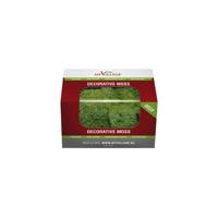 Rendiermos groen 50 g - My village