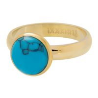 iXXXi Vulring Blue Turquoise Stone Goud | Maat 21