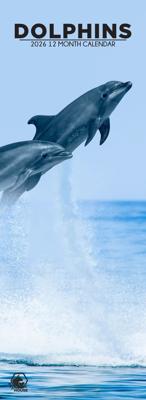 Dolfijnen Slimline Kalender 2026 Dolfijnen Slimline Kalender 2026