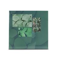 Hama Memo Fotoalbum Singo II Leaves voor 200 Foto's van 10x15 cm