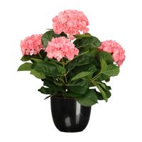 Hortensia kunstplant/kunstbloemen 45 cm - roze - in pot zwart glans - thumbnail