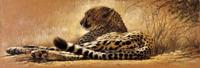 Kunstdruk Renato Casaro - Little rest 99x34cm