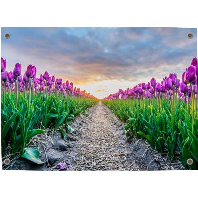 Tuinposter Voorjaar 4 - Pillow Buddies