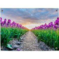 Tuinposter Voorjaar 4 - Pillow Buddies