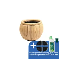 Drypot rotan d48h39cm blond
