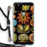 Haeckel Ascidiae: Pixel 5 Transparant Hoesje met koord