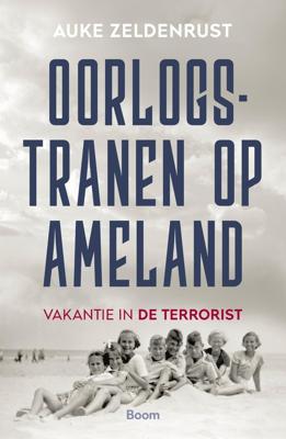 Oorlogstranen op Ameland - Auke Zeldenrust - ebook