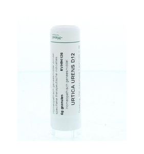 Urtica urens D12