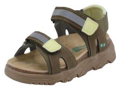 Bunnies Jr. Robert Rock