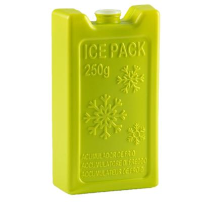 Plasticforte Koelelementen - 250 grams - 13 x 7.5 cm - groen - kunststof