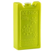 Plasticforte Koelelementen - 250 grams - 13 x 7.5 cm - groen - kunststof