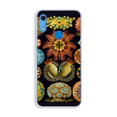Haeckel Ascidiae: Huawei Y6s Transparant Hoesje