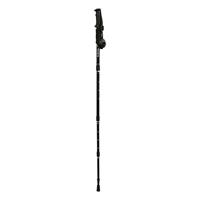 TREKKING STICK BBD 1.0