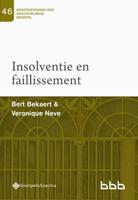 46-Insolventie en faillissement (Paperback)