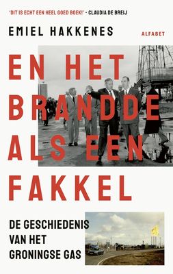 En het brandde als een fakkel - Emiel Hakkenes - ebook