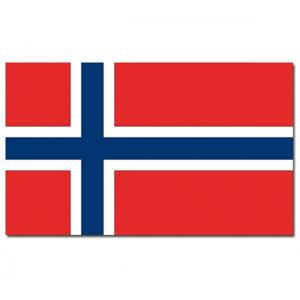 Vlag van Noorwegen - 90 x 150 cm - feestartikelen - landen thema - supporters - versiering