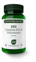 250 Vitamine B12 & foliumzuur 60 Vegetarische capsules