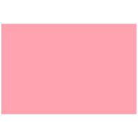 Roze vlag - 150 x 90 cm - decoratie vlag in de kleur roze - polyester - met ophangogen