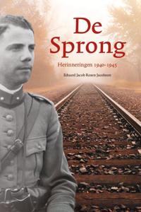 De sprong (Paperback)
