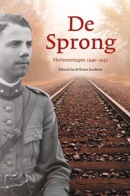 De sprong (Paperback)