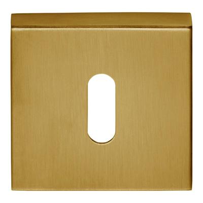 Formani BSQN53 BASICS sleutelplaatje pvd mat goud