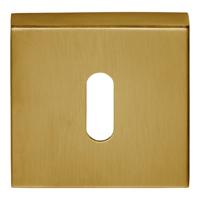 Formani BSQN53 BASICS sleutelplaatje pvd mat goud