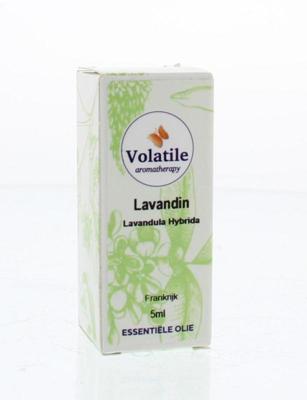 Volatile Lavandin