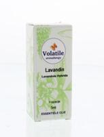 Volatile Lavandin