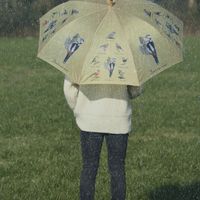 Esschert Design paraplu Vogels 120 x 95 cm polyester beige - thumbnail