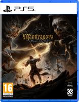 Mandragora Whispers of the Witch Tree
