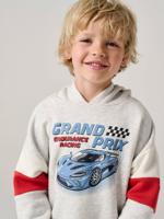 Sweater met capuchon met print gemêleerd grijs