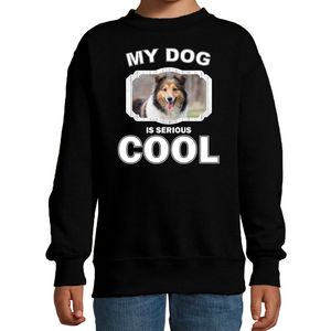 Honden liefhebber trui / sweater Sheltie my dog is serious cool zwart voor kinderen 14-15 jaar (170/176)  -