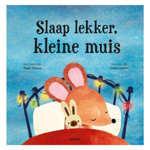 Deltas Slaap lekker, kleine muis prentenboek