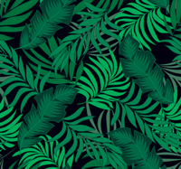 Bosbehangsleutels in de jungle