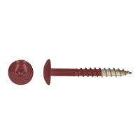 pgb-Europe PGB-FASTENERS | HPL schroef Tx20 4,8x38 R3011 A4 TRESP0A00038030113