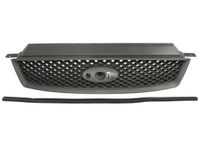 Radiateurgrille 6502072534990P