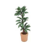 1:12 Mini Doll House meubilair scène decoratie plant ingegoten Braziliaanse hout model