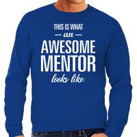Awesome mentor / leermeester cadeau sweater blauw heren - thumbnail
