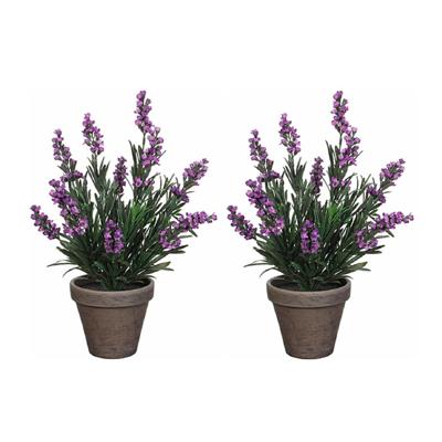 Mica Decorations Kunstplant - 2x stuks - lavendel - paars - in pot - 20 x 33 cm - kunstbloemen Mica Decorations Kunstplant - 2x stuks - lavendel - paars - in pot - 20 x 33 cm - kunstbloemen