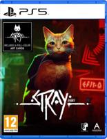 PS5 Stray
