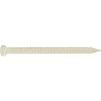 Connex Staalnagel 1.8X38 Beige 60G St - KY1230006
